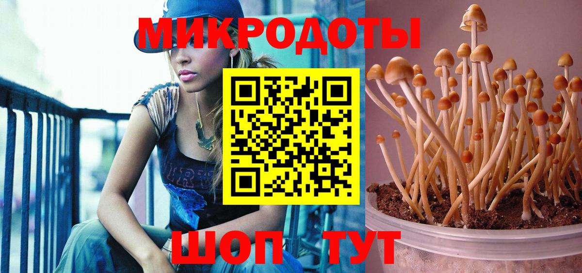 Галлюциногенные грибы GOLDEN TEACHER  Вход с VPN  Псилоцибиновые грибы Psilocybe  Лабытнанги 