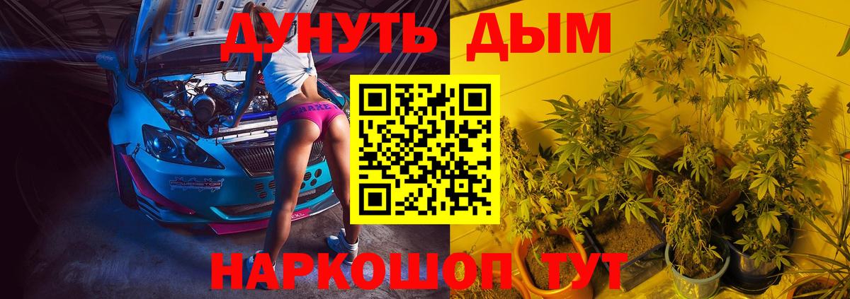 Лабытнанги  Бошки Шишки OG Kush  Каннабис сатива  Вход с VPN  Бошки Шишки OG Kush  Бошки Шишки Amnesia 